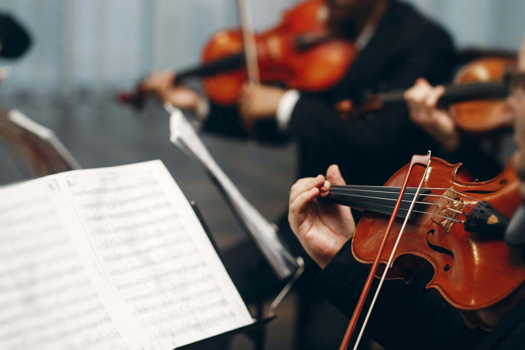 violin playing with sheet music